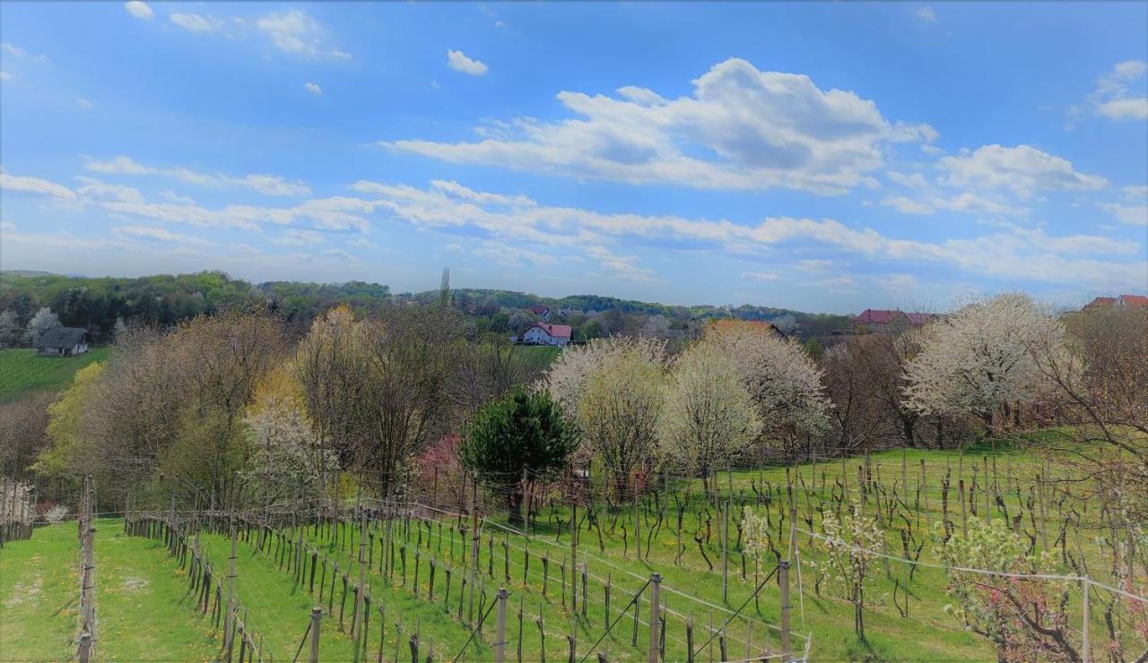 Apartma-Spa Natura Sveti Jurij ob Scavnici Zewnętrze zdjęcie