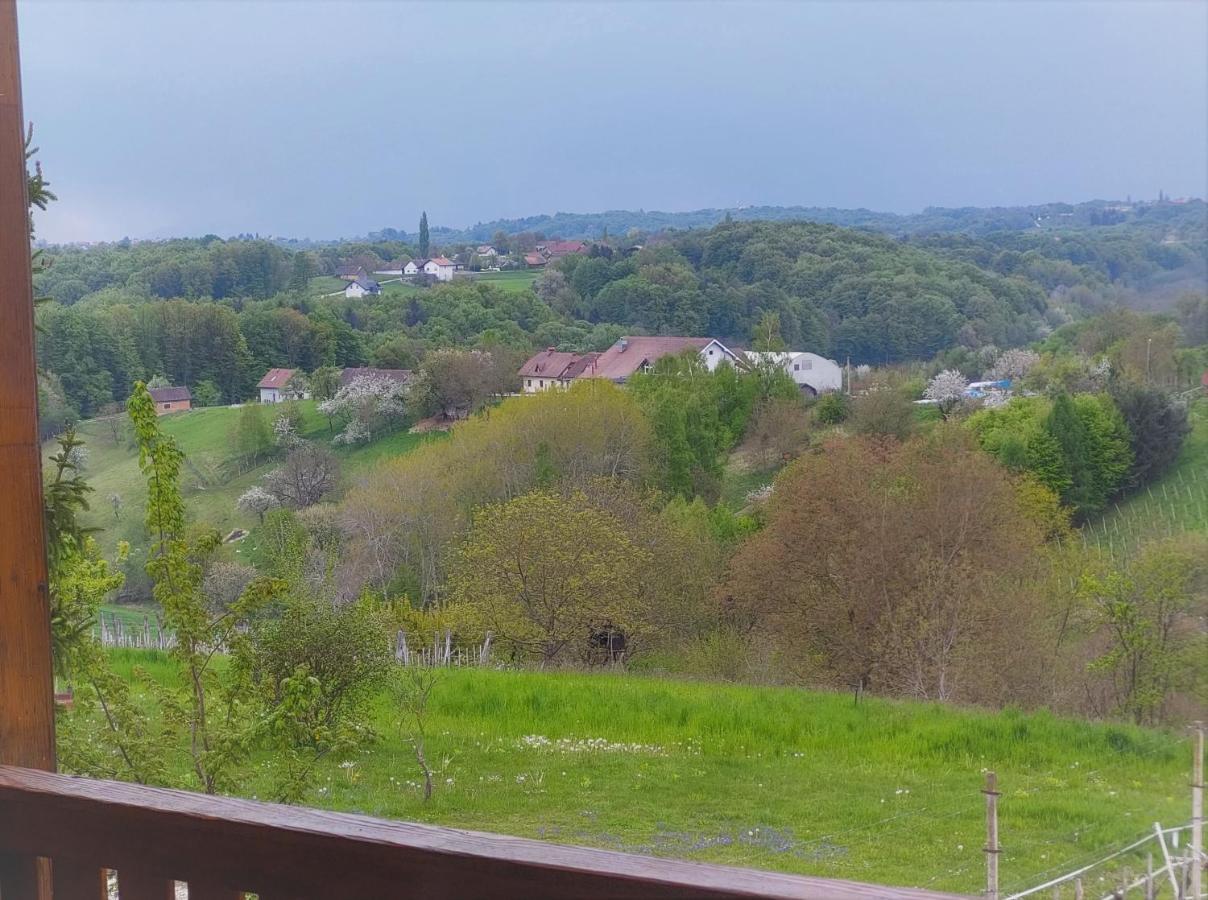 Apartma-Spa Natura Sveti Jurij ob Scavnici Zewnętrze zdjęcie
