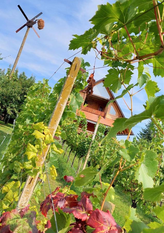 Apartma-Spa Natura Sveti Jurij ob Scavnici Zewnętrze zdjęcie